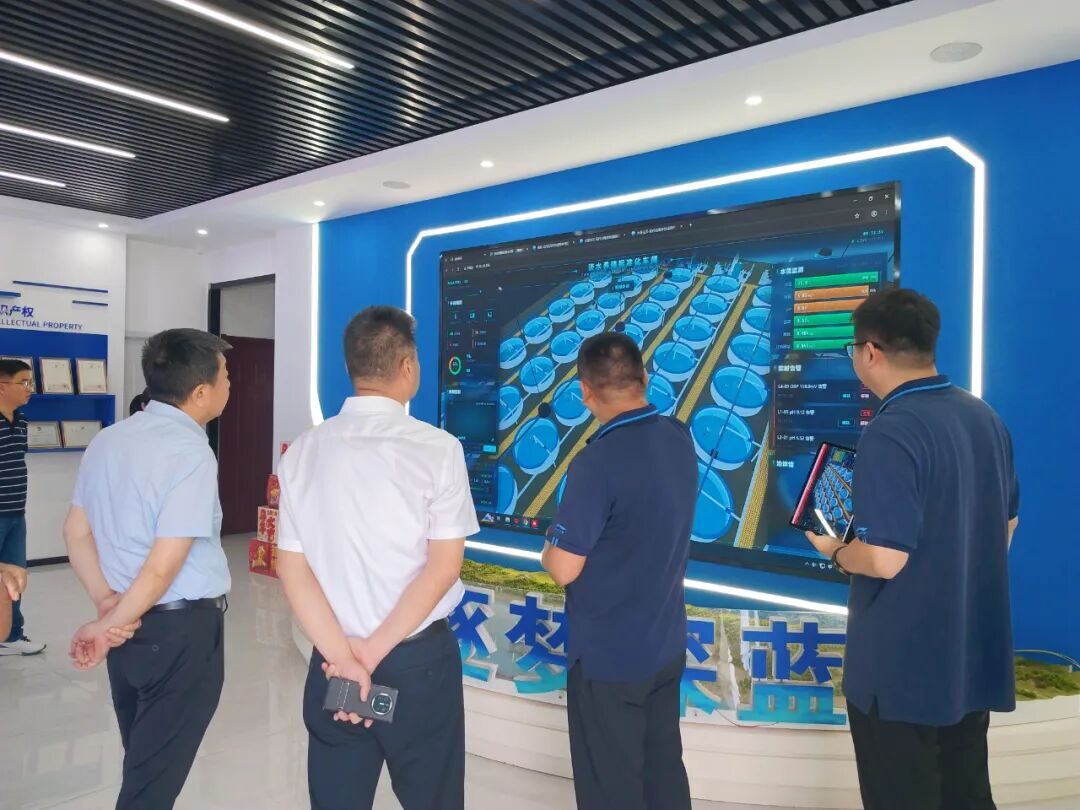 热烈欢迎宁德市政协副主席林青一行莅临广为海洋考察调研